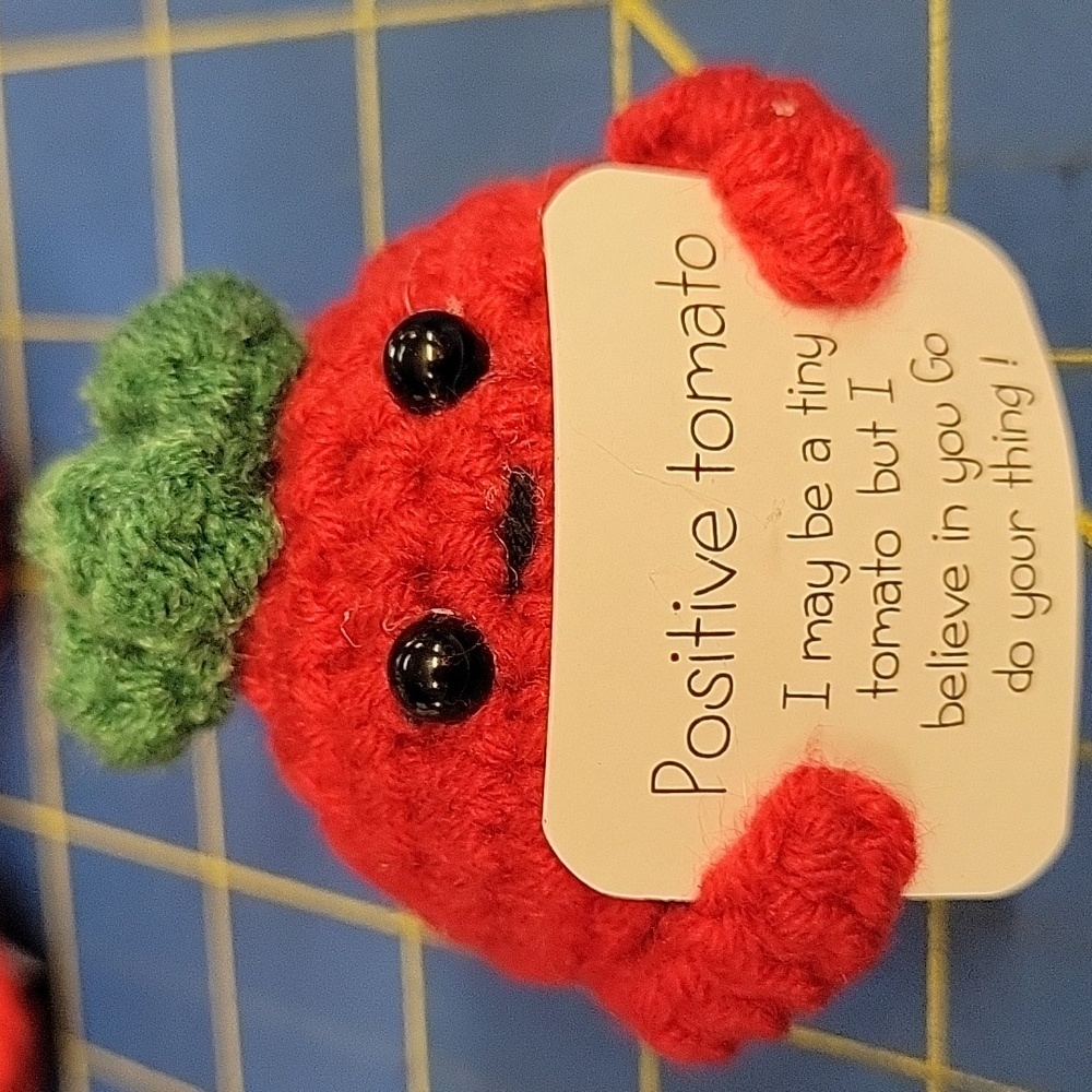Positive Tomato I May Be A Tiny Tomato But I Believe In You Go Do Your Thing 2"